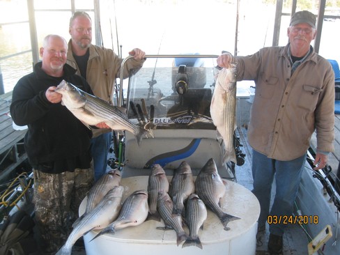 Nice Striped Bass